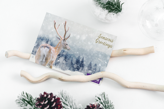 12 x Snowy Deer Christmas Cards