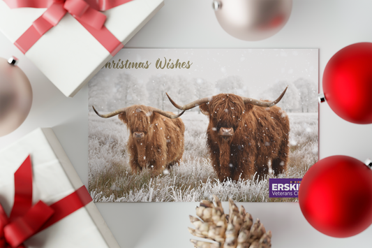 12 x Festive Highland Cows Christmas Cards