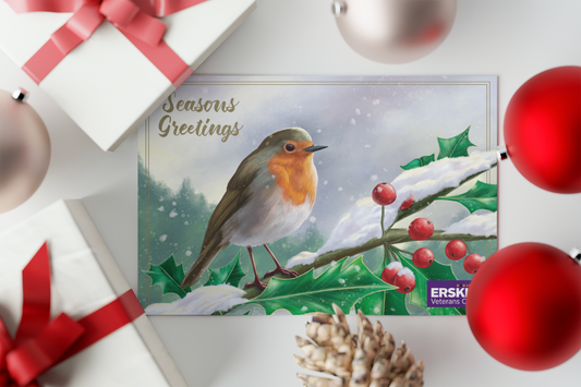 12 x Robin Christmas Cards